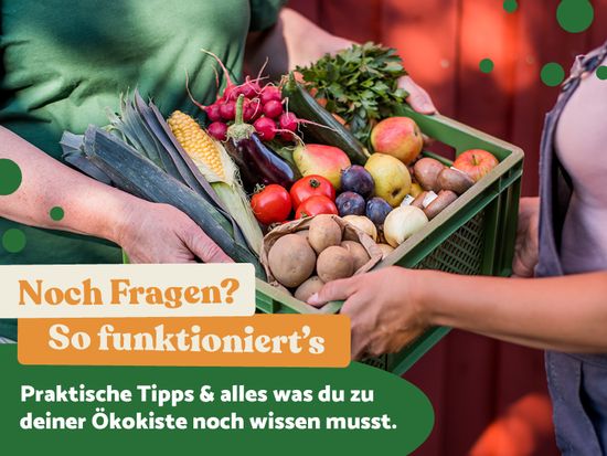 Ökokiste mit regionalem Bio Obst und Gemüse