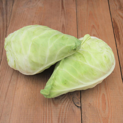 Produktfoto zu Spitzkohl