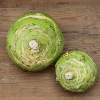 Produktfoto zu Kohlrabi "Superschmelz"