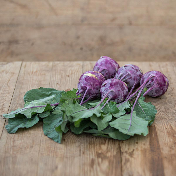 Produktfoto zu Blauer Kohlrabi