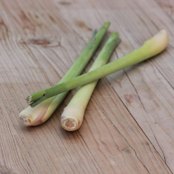 Produktfoto zu Zitronengras