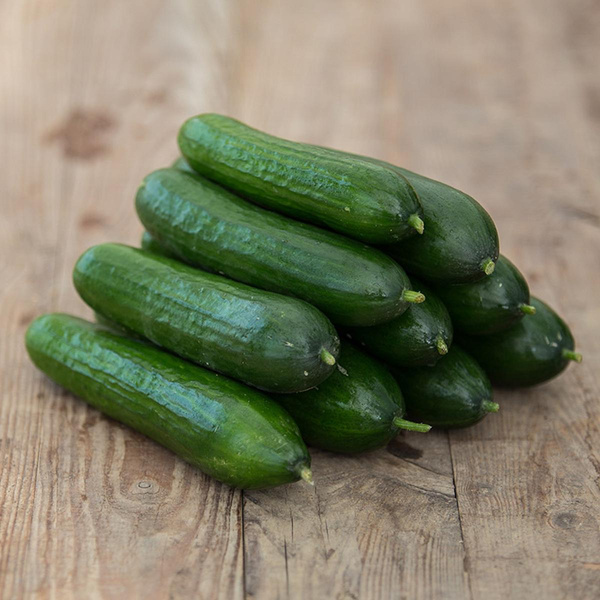 Produktfoto zu Minigurken