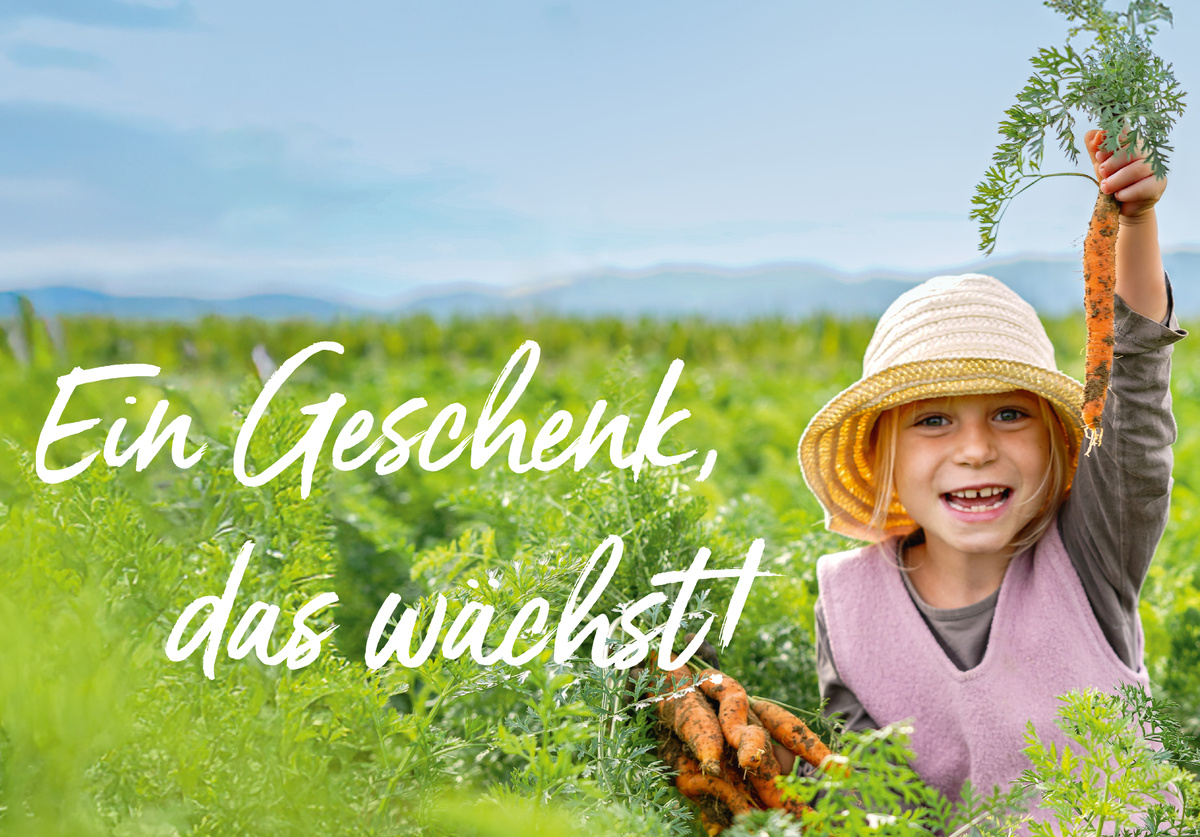 Ein kleines Mädchen mit Strohhut und rosa Wollkleid hält eine frisch aus der Erde gezogene Karotte in die Höhe.