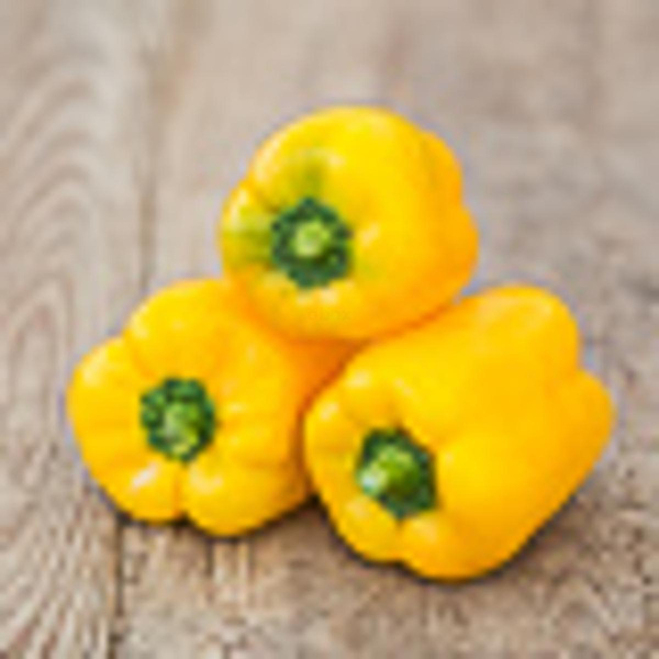 Produktfoto zu Gelbe Paprika