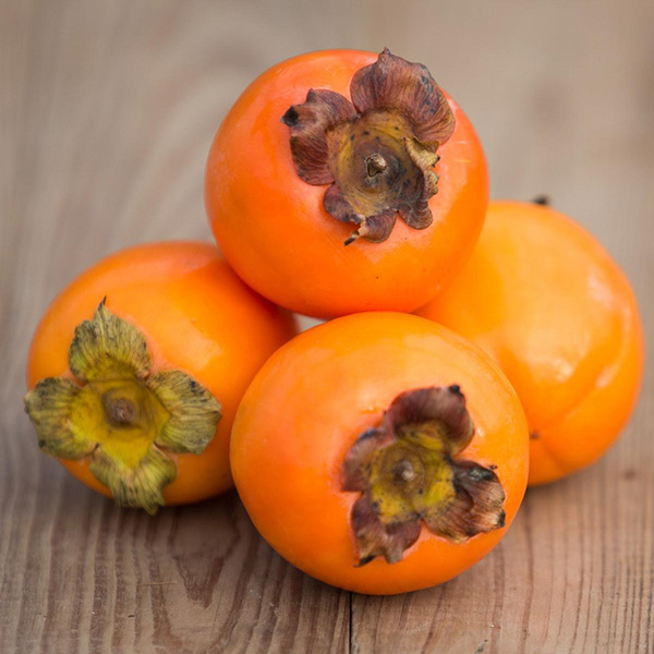 Produktfoto zu Kaki "Rojo Brillante"