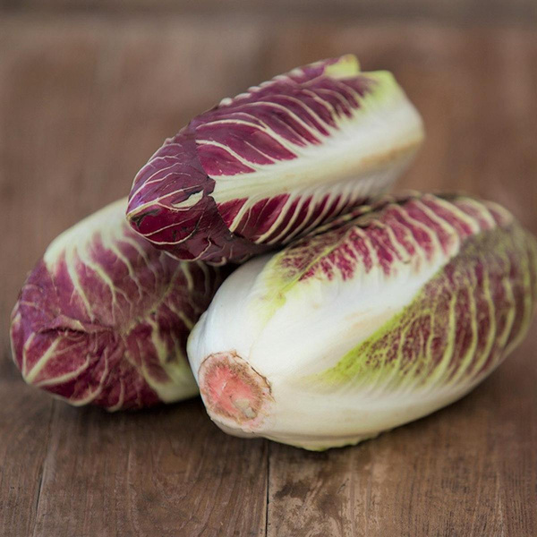 Produktfoto zu Radicchio "Treviso"
