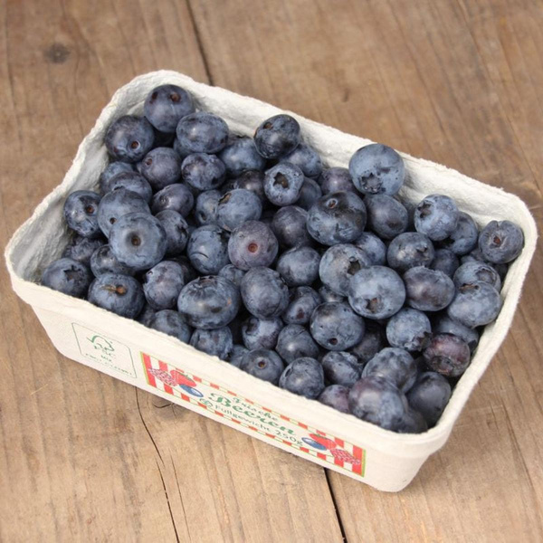 Produktfoto zu Heidelbeeren