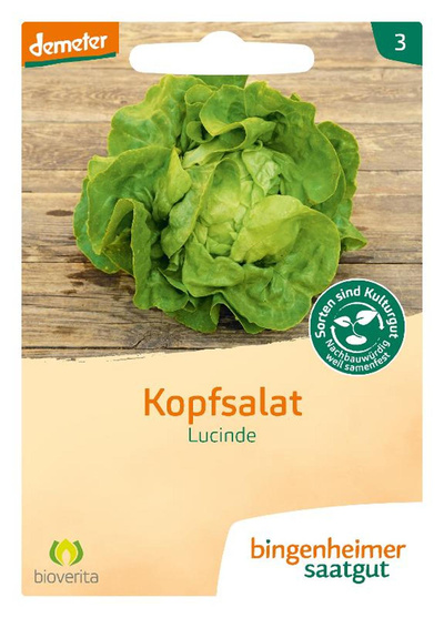 Produktfoto zu Kopfsalat