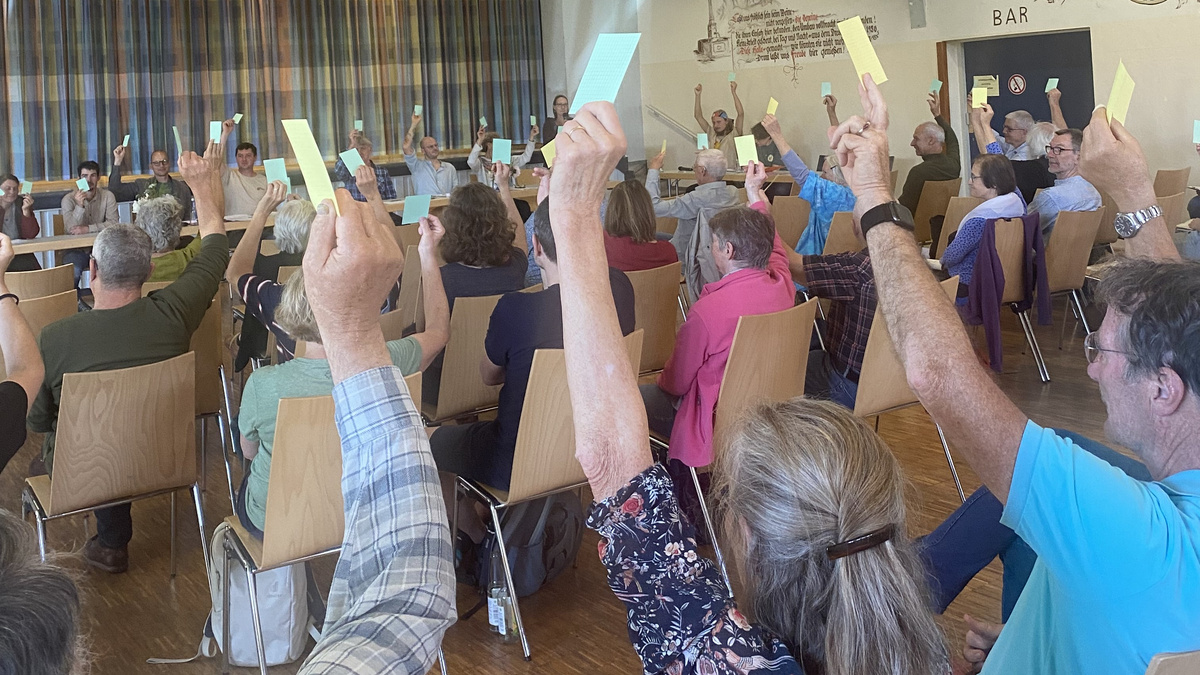 KI generiert: Menschen stimmen mit Karten bei einer Versammlung ab.