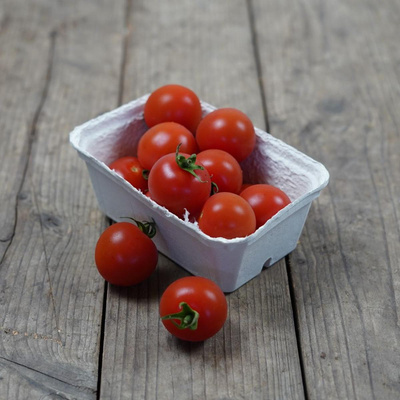 Produktfoto zu Cocktailtomaten "Trixie"