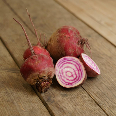 Produktfoto zu Rote Bete "Tonda di Chioggia"