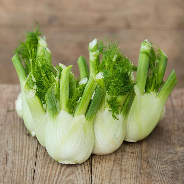 Produktfoto zu Fenchel