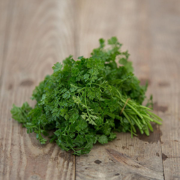 Produktfoto zu Koriander