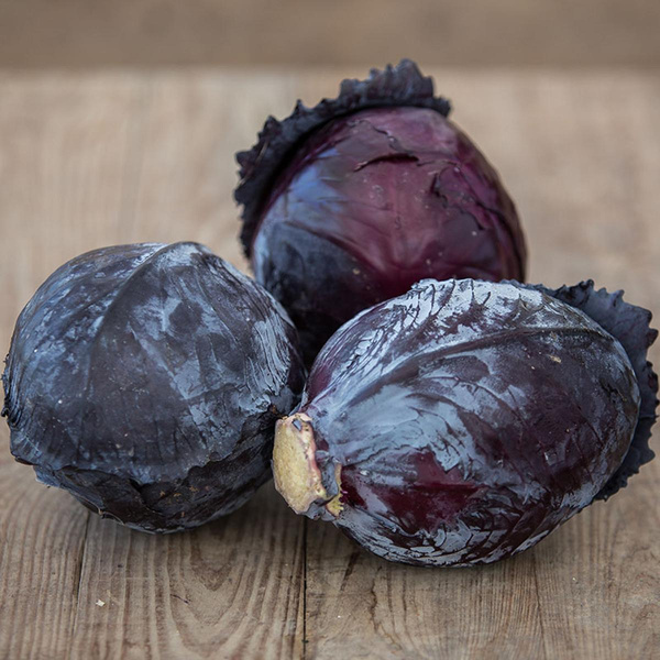 Produktfoto zu Rotkraut