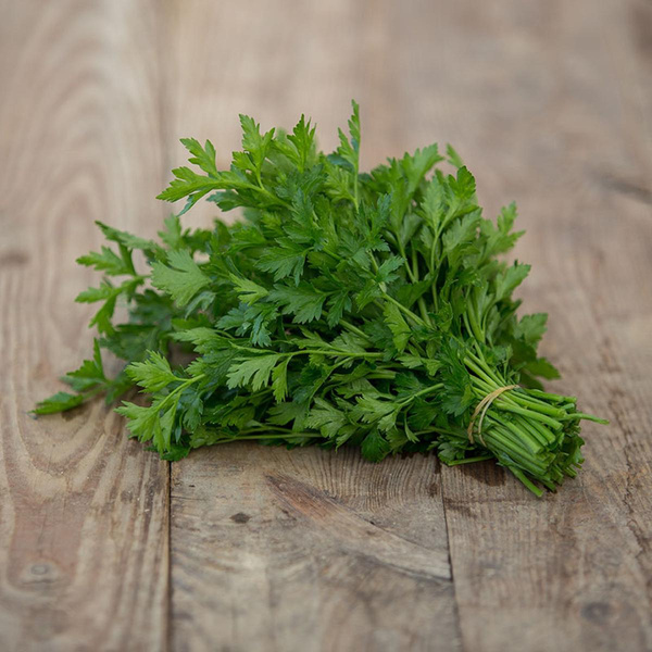 Produktfoto zu Glatte Petersilie