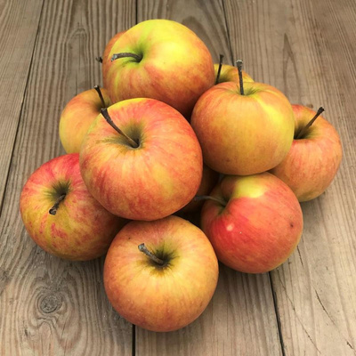 Produktfoto zu Äpfel Jonagold 10 kg-Kiste