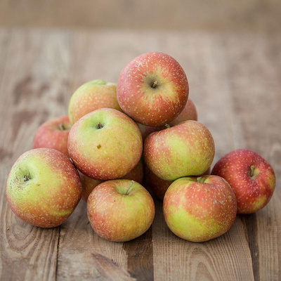 Produktfoto zu Äpfel "Boskoop"