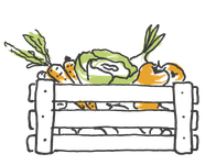 Eine gezeichnete volle Gemüsekiste aus Holz mit Karotten, Kohl etc.