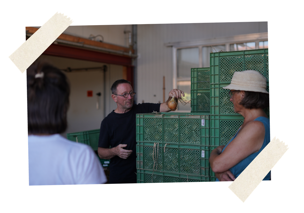 KI generiert: Ein Mann zeigt zwei Personen eine Zwiebel vor einem Stapel grüner Kisten.