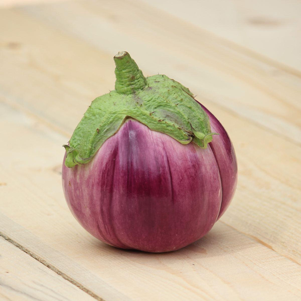 Produktfoto zu Violette Aubegine "Rotanda bianca"