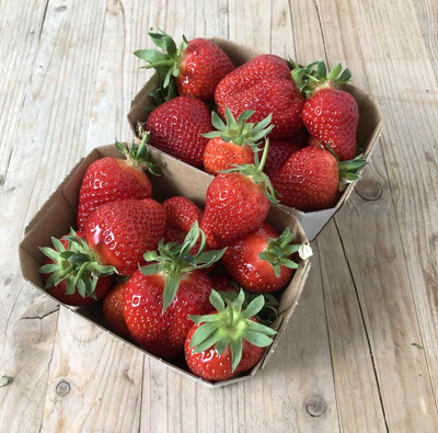 Produktfoto zu Erdbeeren 250 g Schale