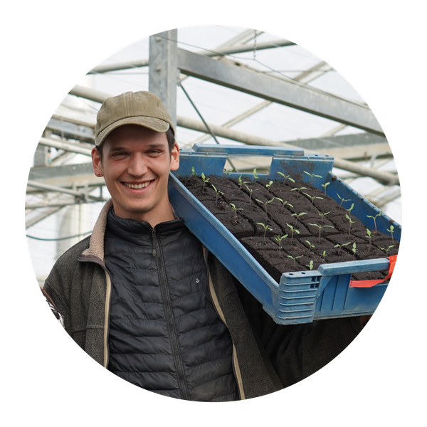 Unser Vorstandsmitglied Lukas Denne kniet in einem Grünkohlfeld.