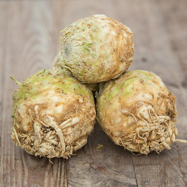 Produktfoto zu Knollensellerie