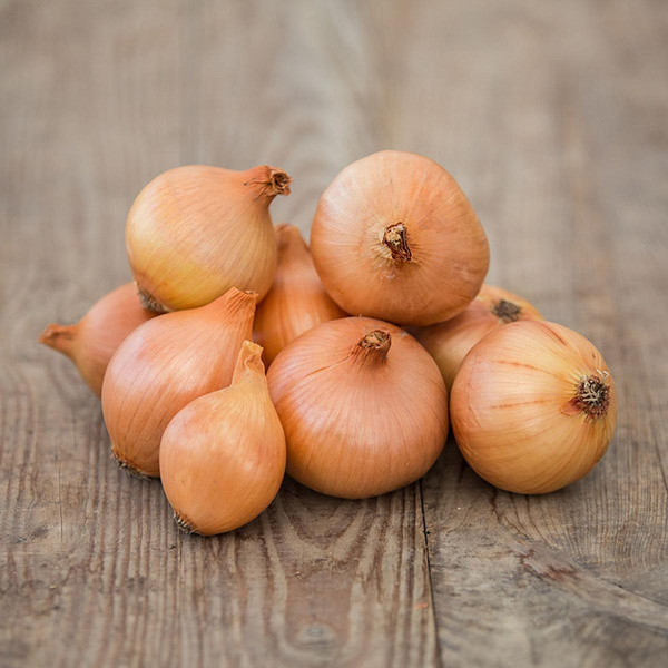 Produktfoto zu Gelbe Zwiebeln