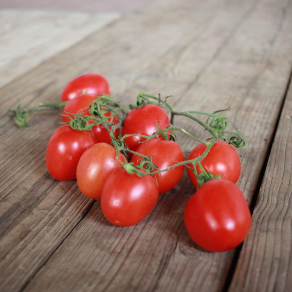 Produktfoto zu Cocktail-Strauchtomaten "Picadilly"
