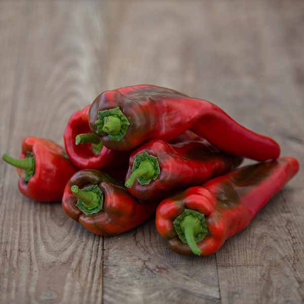 Produktfoto zu Rote Spitzpaprika "Pantos"
