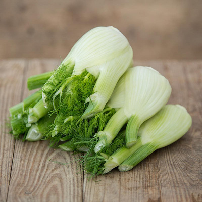 Produktfoto zu Fenchel
