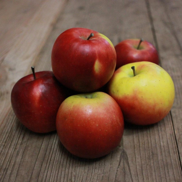 Produktfoto zu Äpfel "Delcored"
