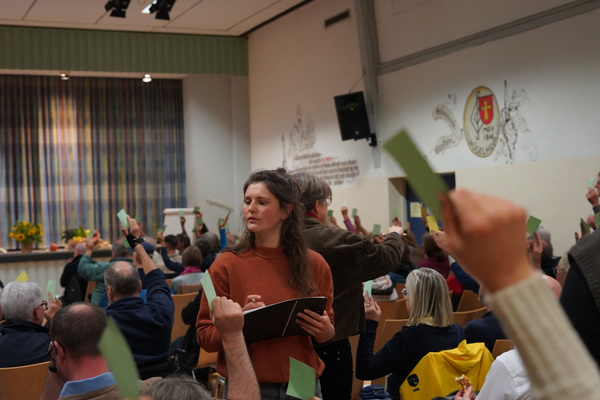 KI generiert: Menschen halten grüne Karten bei einer Abstimmung in einer Versammlung hoch.