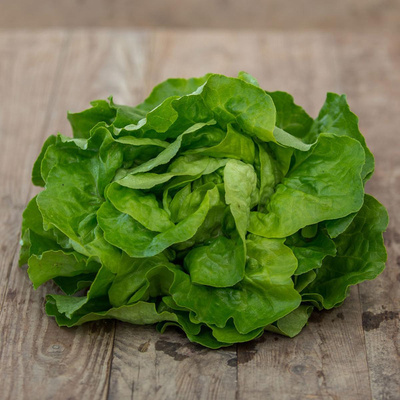 Produktfoto zu Grüner Kopfsalat