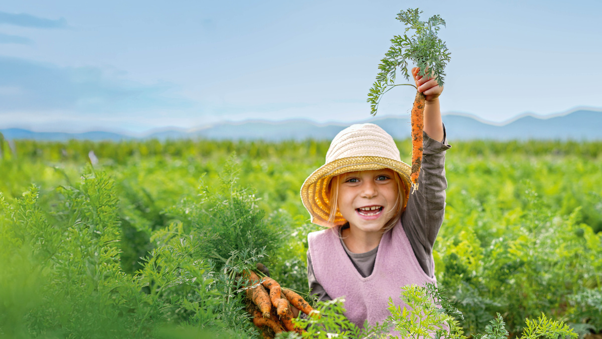Ein kleines Mädchen mit Strohhut und rosa Wollkleid hält eine frisch aus der Erde gezogene Karotte in die Höhe.