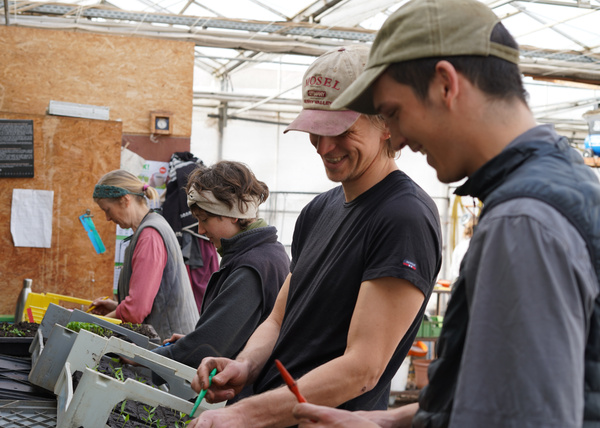 KI generiert: Menschen arbeiten in einem Gewächshaus und bepflanzen oder pflegen Setzlinge.