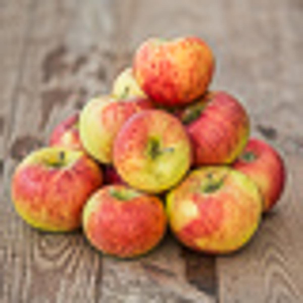 Produktfoto zu Äpfel Collina 10 kg-Kiste