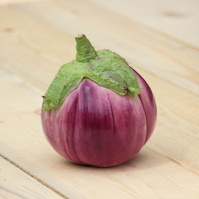 Produktfoto zu Violette Aubegine "Rotanda bianca"