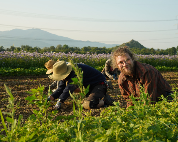 KI generiert: Menschen arbeiten im Garten, umgeben von Pflanzen, mit Bergen im Hintergrund.