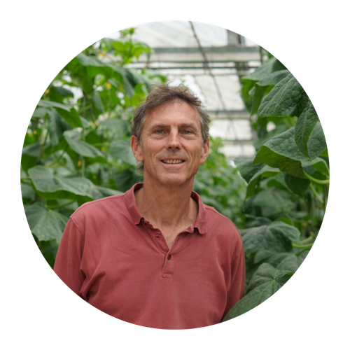 Richard Specht, einer unserer Gründer, steht im Gewächshaus vor hoch gewachsenen Gurkenpflanzen.