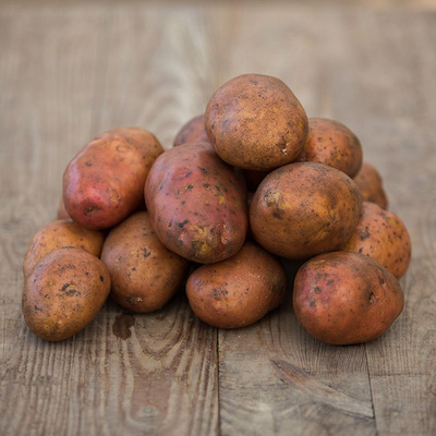 Produktfoto zu Rote vorwiegend festkochende Kartoffeln