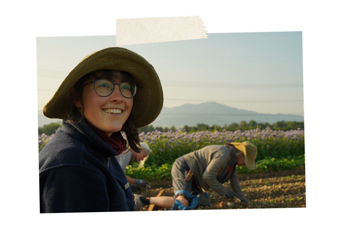 KI generiert: Eine Person mit Hut lächelt auf einem Feld. Weitere Menschen arbeiten im Hintergrund.