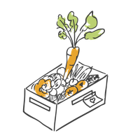 Zeichnung von einer vollen Gemüsekiste mit einer großen Karotte in der Mitte.