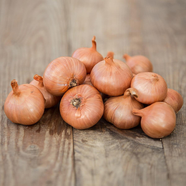 Produktfoto zu Schalotten