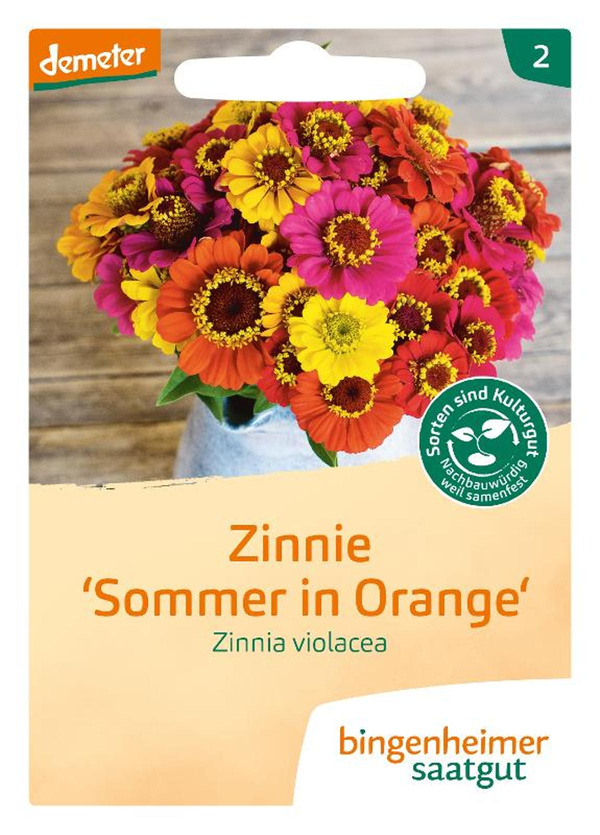 Produktfoto zu Zinnie `Sommer in orange`