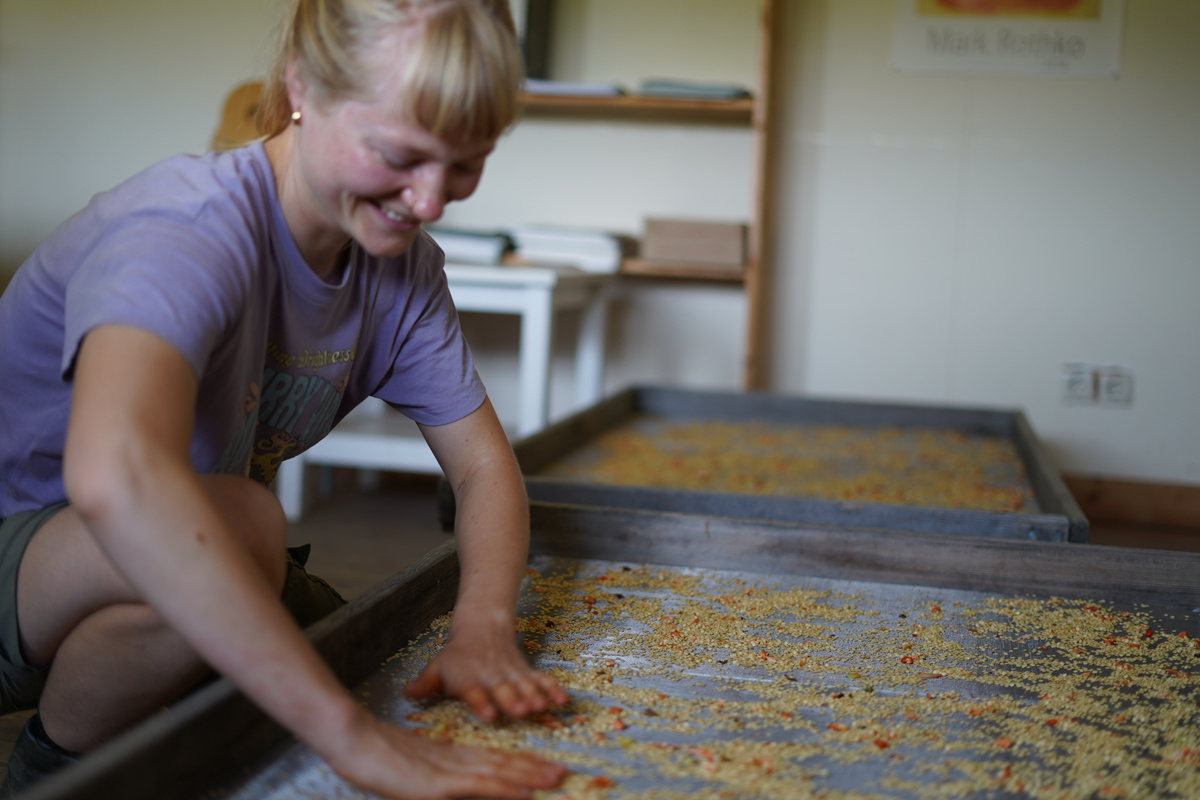 KI generiert: Eine Person bearbeitet Lebensmittel auf einem großen Tablett in einem Raum.