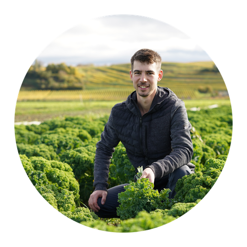 Unser Vorstandsmitglied Lukas Denne kniet in einem Grünkohlfeld.