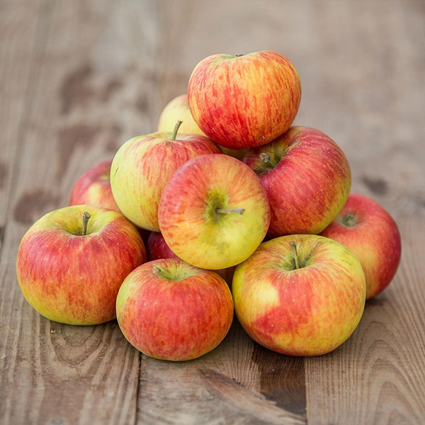 Produktfoto zu Äpfel "Topaz" 10 kg-Kiste