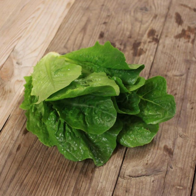Produktfoto zu Kleiner Romanasalat