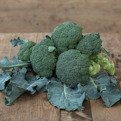 Produktfoto zu Brokkoli